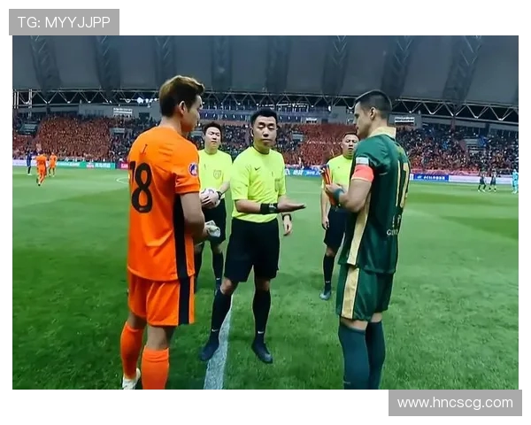 深圳排球队配合问题引发热议球迷与专家各执己见