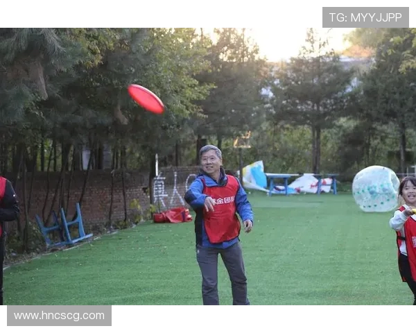 飞盘竞技的魅力与挑战：深入探讨深圳飞盘队的战术与团队协作